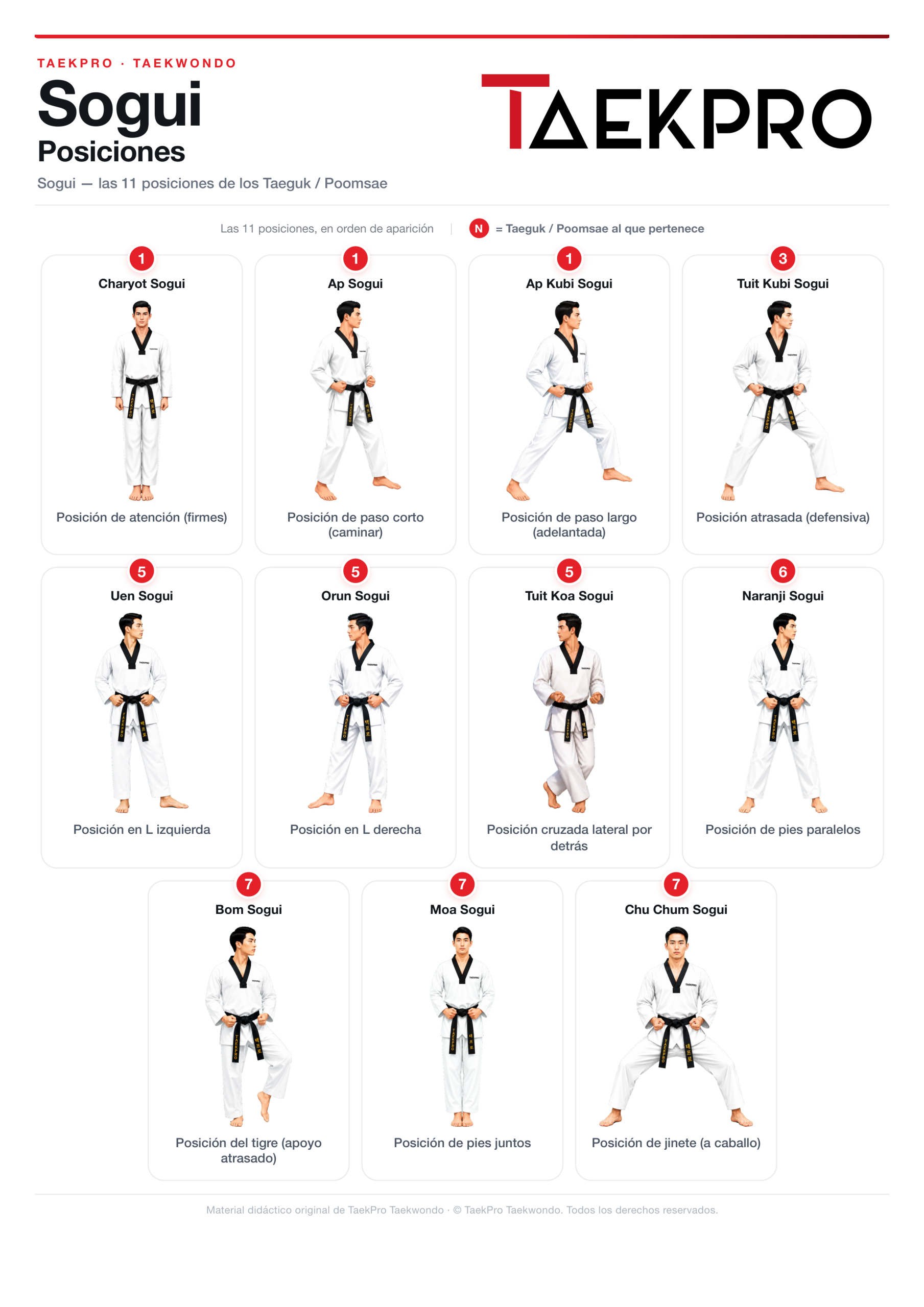 Posiciones de taekwondo Sogui, guía visual TaekPro San Vicente del Raspeig