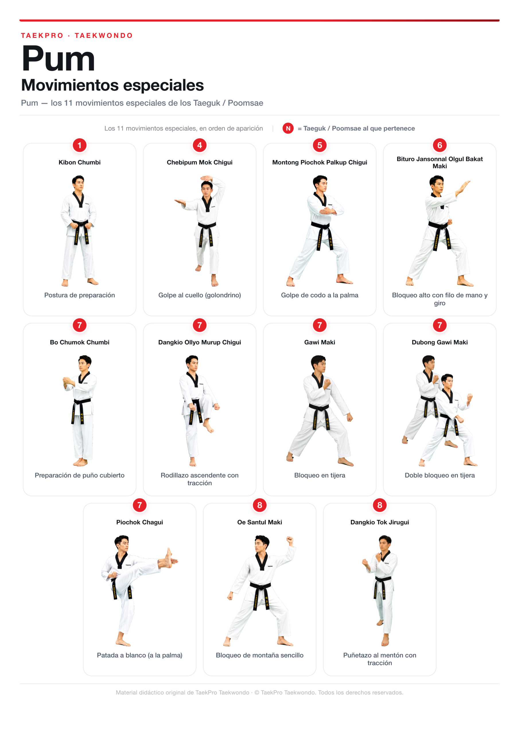 Movimientos especiales de taekwondo Pum, guía visual TaekPro San Vicente del Raspeig